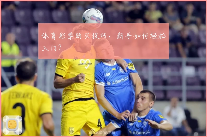 体育彩票购买技巧，新手如何轻松入门？