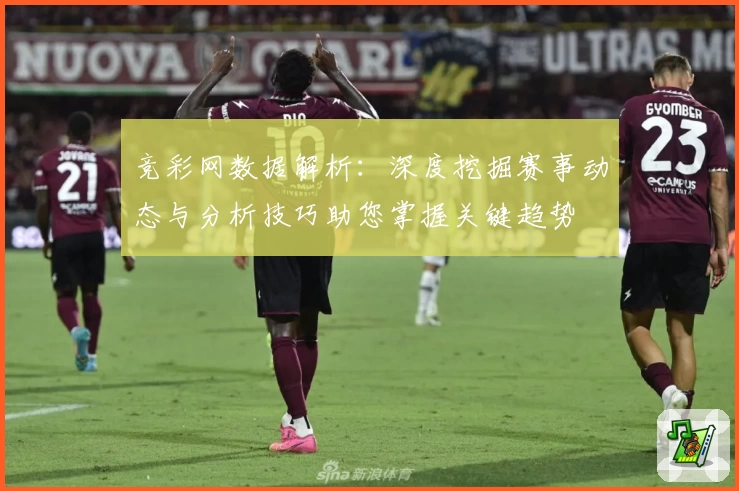 竞彩网数据解析：深度挖掘赛事动态与分析技巧助您掌握关键趋势