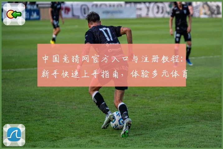 中国竞猜网官方入口与注册教程：新手快速上手指南，体验多元体育赛事互动魅力
