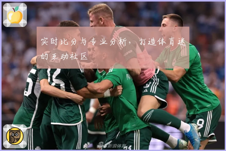 实时比分与专业分析,打造体育迷的互动社区